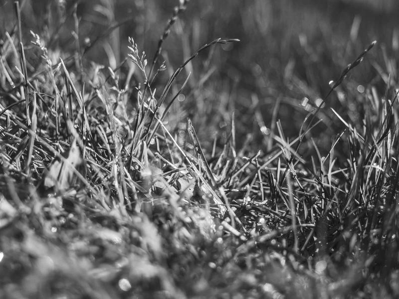 sudoku ios app screenshot 3